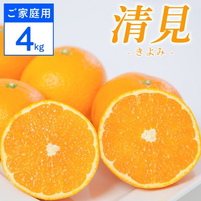 【ご家庭用】清見 4kg 愛媛県 八幡浜市 西宇和地区 柔らかい果肉【D25-364】【配送不可地域：離島】【1716964】