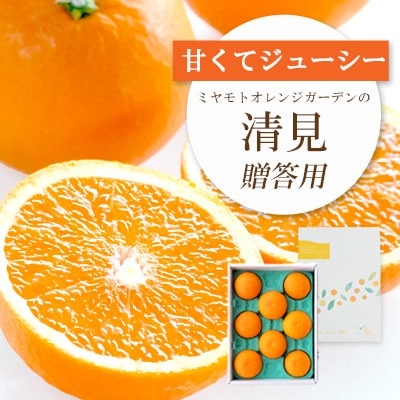 果汁たっぷり ジューシー清見 │ 専用贈答BOX入り【E25-100】【1360103】