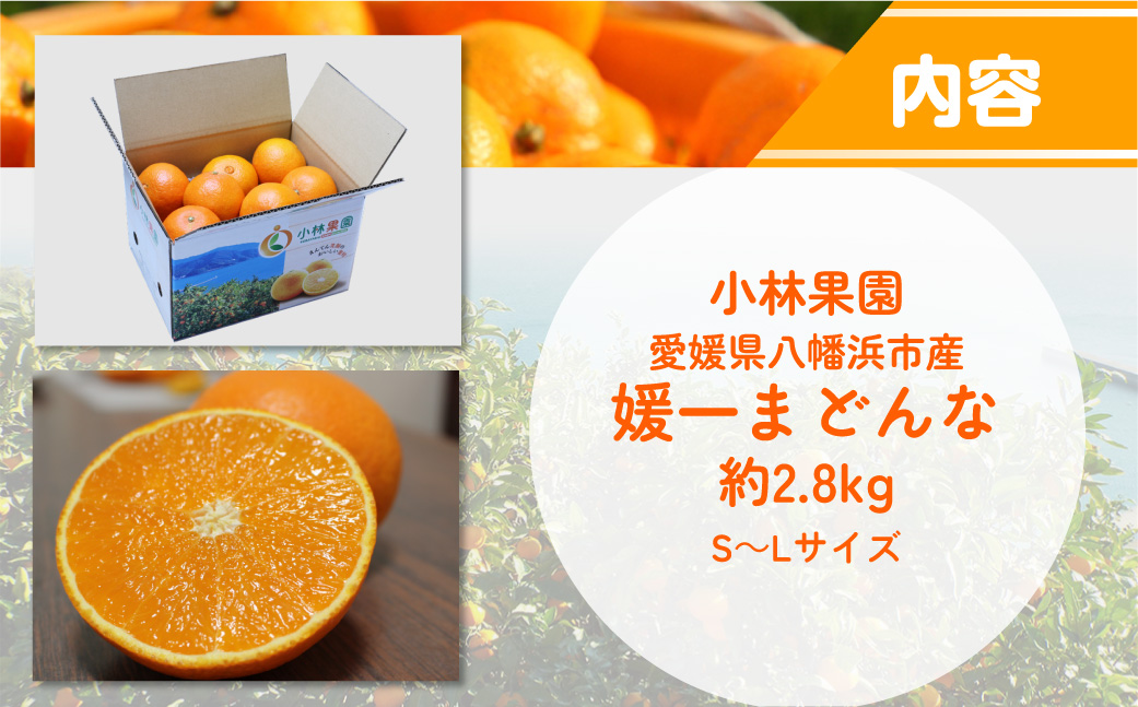 【先行受付】小林果園の媛一まどんな(約2.8kg)【C24-16】 YWTAD009