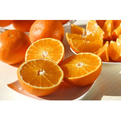 柑橘の鬼たちがつくる八幡浜産・鬼 マドンナ (2.7kg〜3.0kg)[ 傷あり ]【E56-33】【配送不可地域：離島・北海道・沖縄県】【1360891】