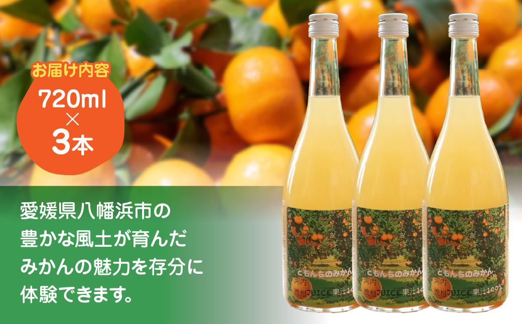 河内晩柑100%ジュース720ml×３【91-4】 ふるさと納税 オレンジ みかん  晩柑 河内晩柑 ジュース 産地直送 愛媛県 八幡浜市 送料無料 YWTB003