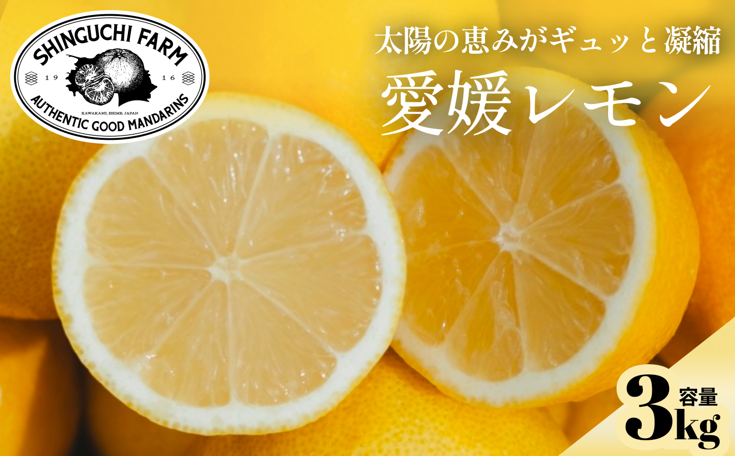 【先行受付 2027年発送】愛媛育ちのレモン 3kg 防腐剤・ワックス不使用【C70-20】【1470687】 YWTK020