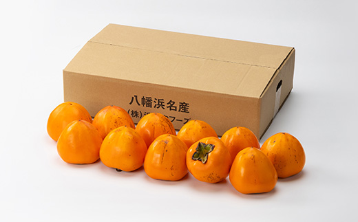 家庭用　富士柿　5.5kg〜6kg【C56-73】【配送不可地域：離島】【1621936】