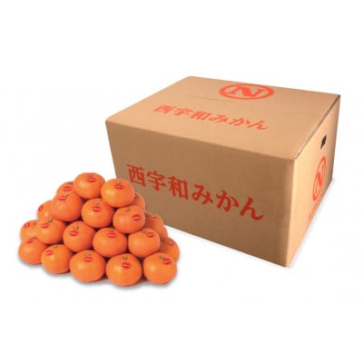 真穴みかん 【2Lサイズ】 9kg【F43-4】【1490866】