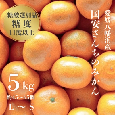 【糖度11度以上 酸1.0以下 糖酸選別品】愛媛みかん 5kg【D20-49】【1594923】
