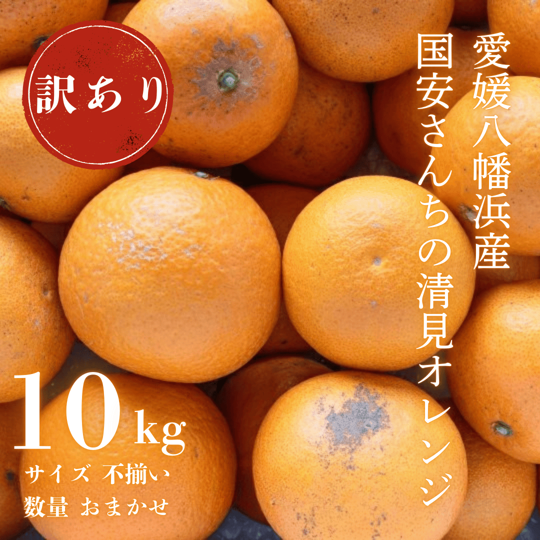 【まるで食べるジュース!越冬完熟品】愛媛産 訳あり 清見オレンジ 10kg【F20-34】【1594861】 YWTI029