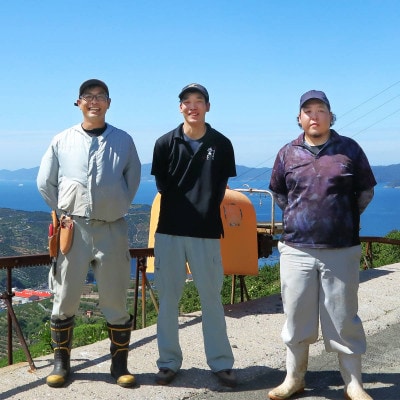 最高級みかん 媛皇 せとか 7kg 愛媛県 八幡浜市 西宇和地区 柑橘の女王【H25-296】【1712707】