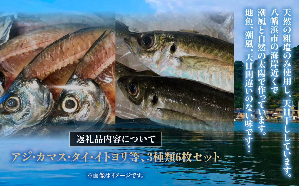 蜈ォ蟷。豬懃匱シ∫ォケ荳ュ豌エ逕」縺ョ蝨ー迚ゥ縺ョ蟷イ迚ゥシ匁椢繧サ繝繝茨シ亥、ァ繧オ繧、繧コシ峨22-295縲 YWTM109