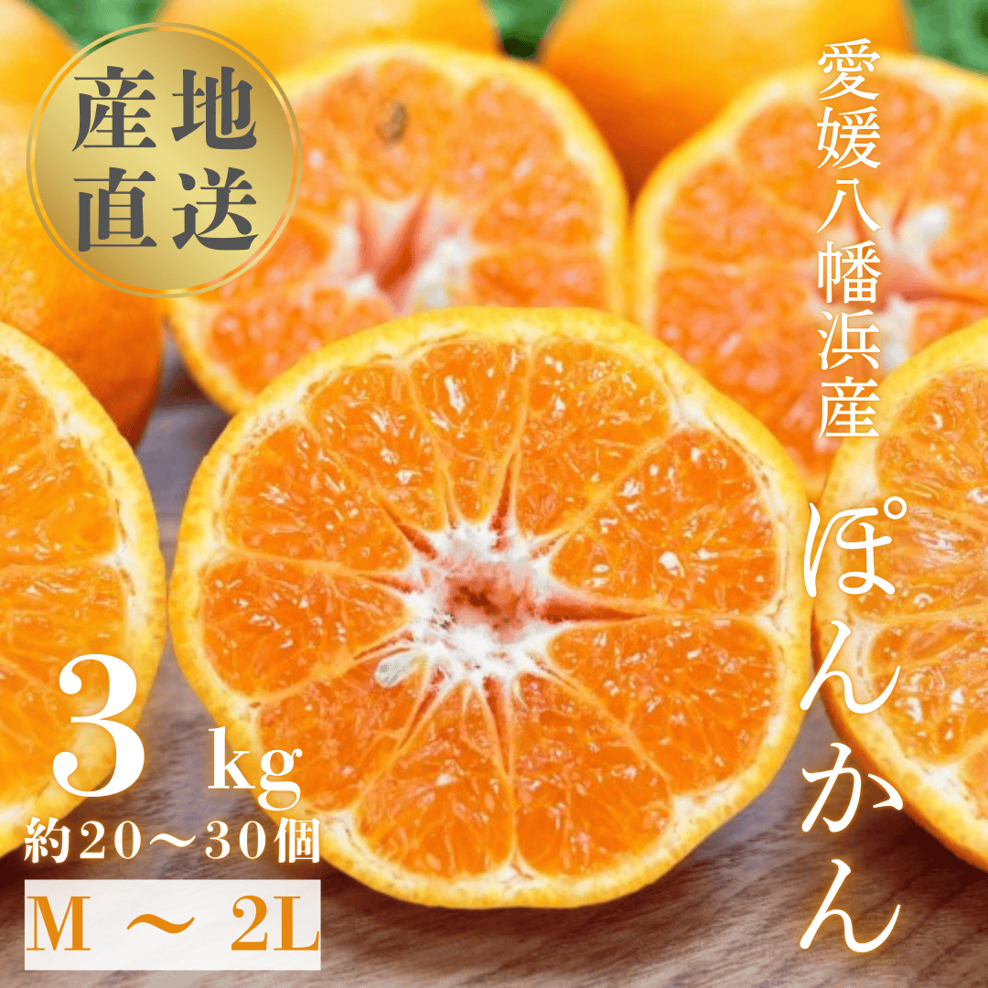【南国を感じさせる独特の香り】愛媛ポンカン 3kg【C20-60】【1620341】 YWTI055