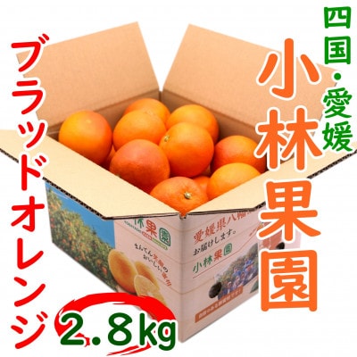 愛媛・小林果園のブラッドオレンジ 約2.8kg【C24-32】【1519321】