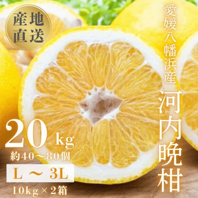 《果汁たっぷりジューシー》産地直送 愛媛八幡浜産 河内晩柑20kg【H20-81】【1621533】