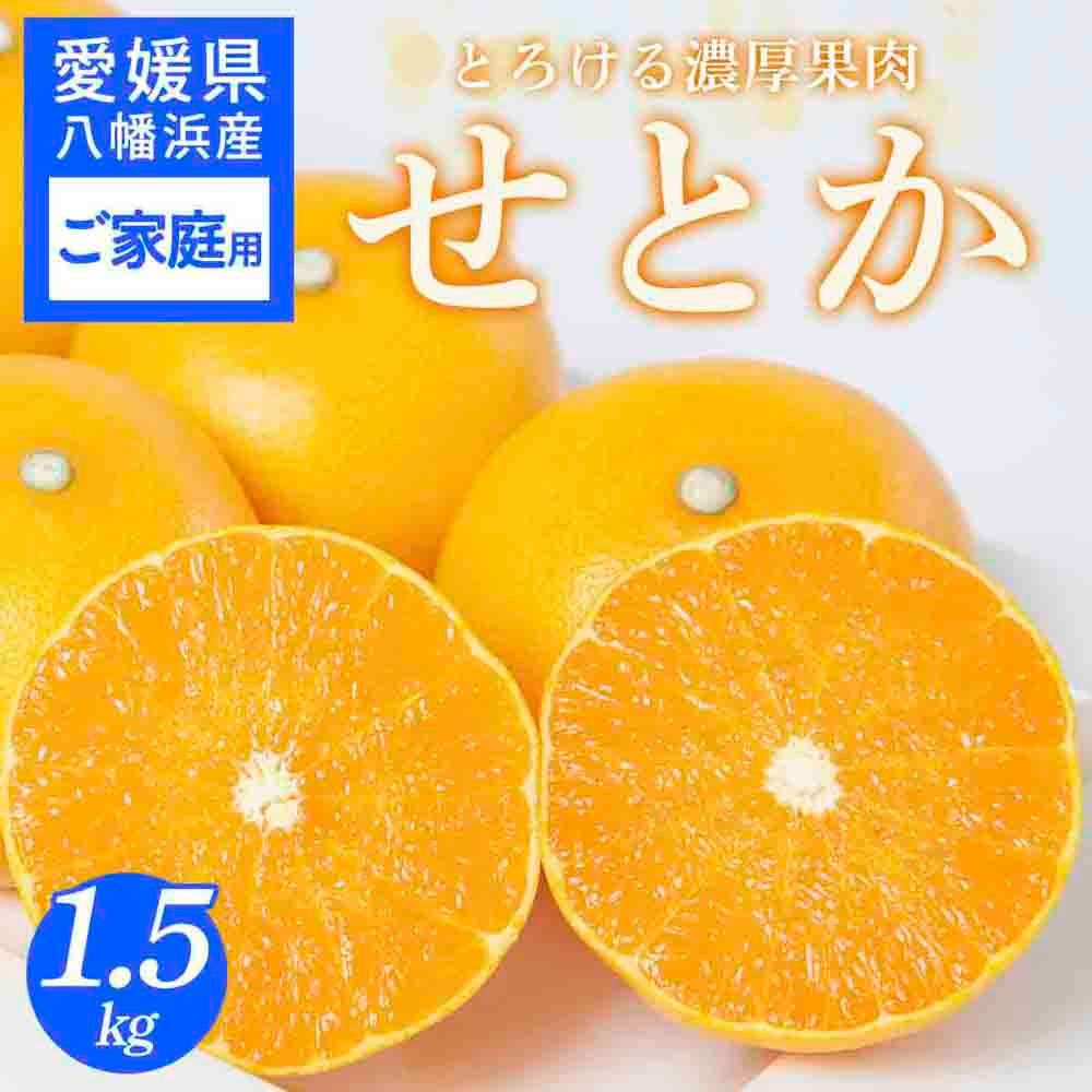 【先行受付】 【ご家庭用】せとか 1.5kg みかん 愛媛県 八幡浜産市 西宇和地区 柑橘の女王【C25-299】【1713013】 YWTAP240