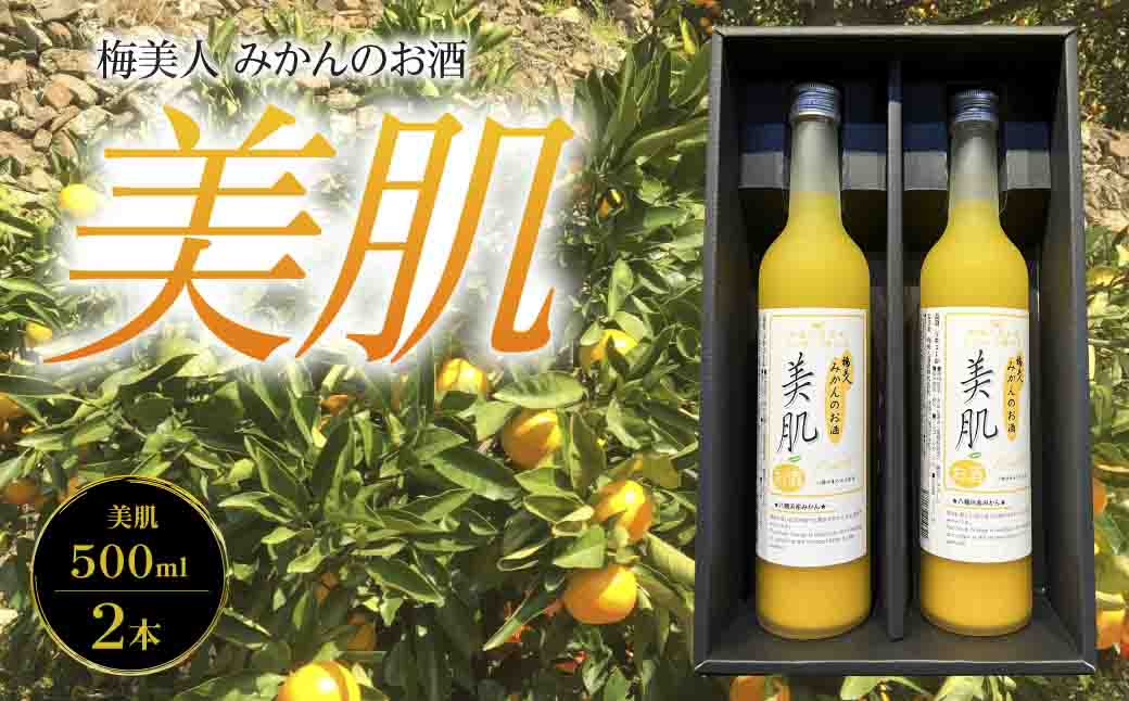 美肌500ml2本セット【C03-10】【1043419】 YWTO006