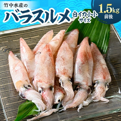 竹中水産のバラスルメ(白イカの小小サイズ)1.5kg【C22-271】【配送不可地域：離島】【1115289】