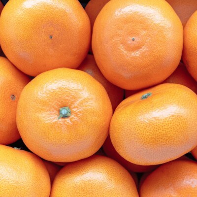 【みかんの大トロ】糖度12.0以上 酸1.4以下 糖酸選別品 愛媛セトカ 20kg【H20-78】【1620333】