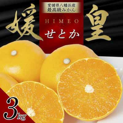 【先行受付】 最高級みかん 媛皇 せとか 3kg 愛媛県 八幡浜市 西宇和地区 柑橘の女王【D25-308】【1713683】 YWTAP249