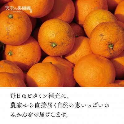 【 訳あり 】 天空 の 果樹園 から届く そら みかん ( 10kg )【E45-28】【1339407】