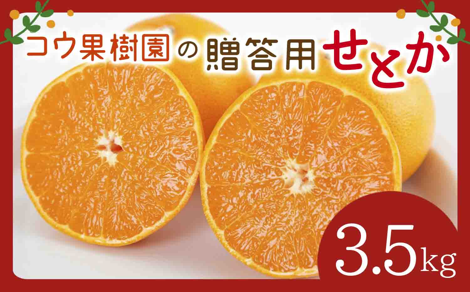 【先行受付】コウ果樹園の贈答用【せとか】3.5kg(バラ詰め)【D33-34】【1457340】 YWTG016