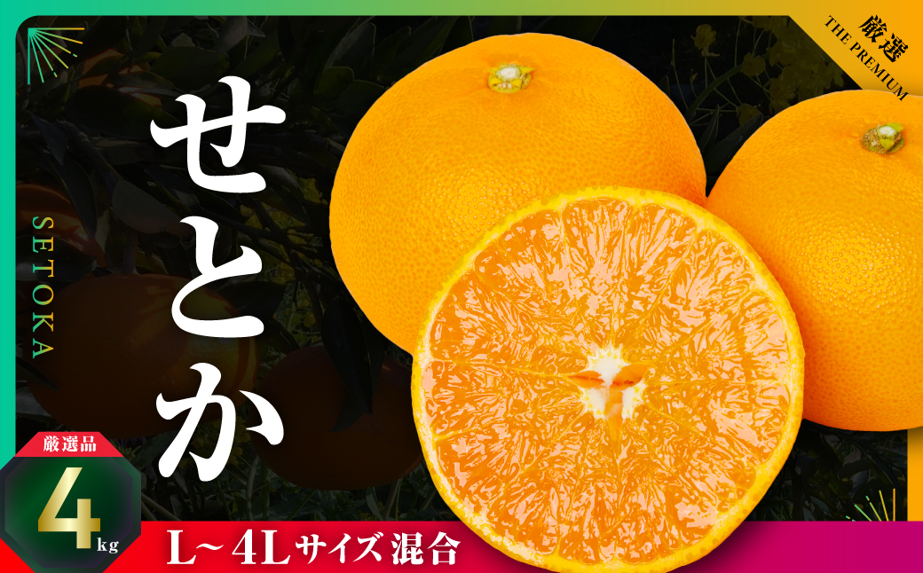 三代目の柑橘の大トロ【せとか】4kg　サイズ:L〜4L混合【E31-52】【配送不可地域：離島】【1631010】 YWTAC041