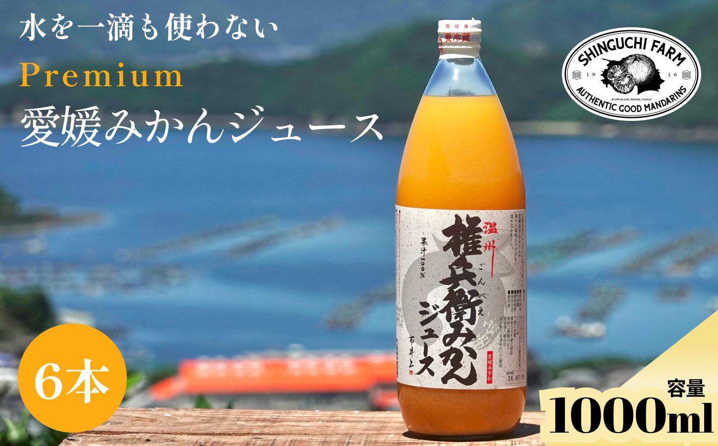 【水を一滴も使わない】愛媛みかん100%ストレートジュース 1000ml×6本【G70-2】【1440737】 YWTK002
