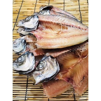 ç«¹äžæ°Žç£ã®å€©æ¥å¹²ã倧ã¢ãž(å®åæµ·ç£)ã®éã12æ(倧æ¯ããµã€ãºãããŸããªã)!ãD22-250ããé
éäžå¯å°åïŒé¢å³¶ãã1073907ã