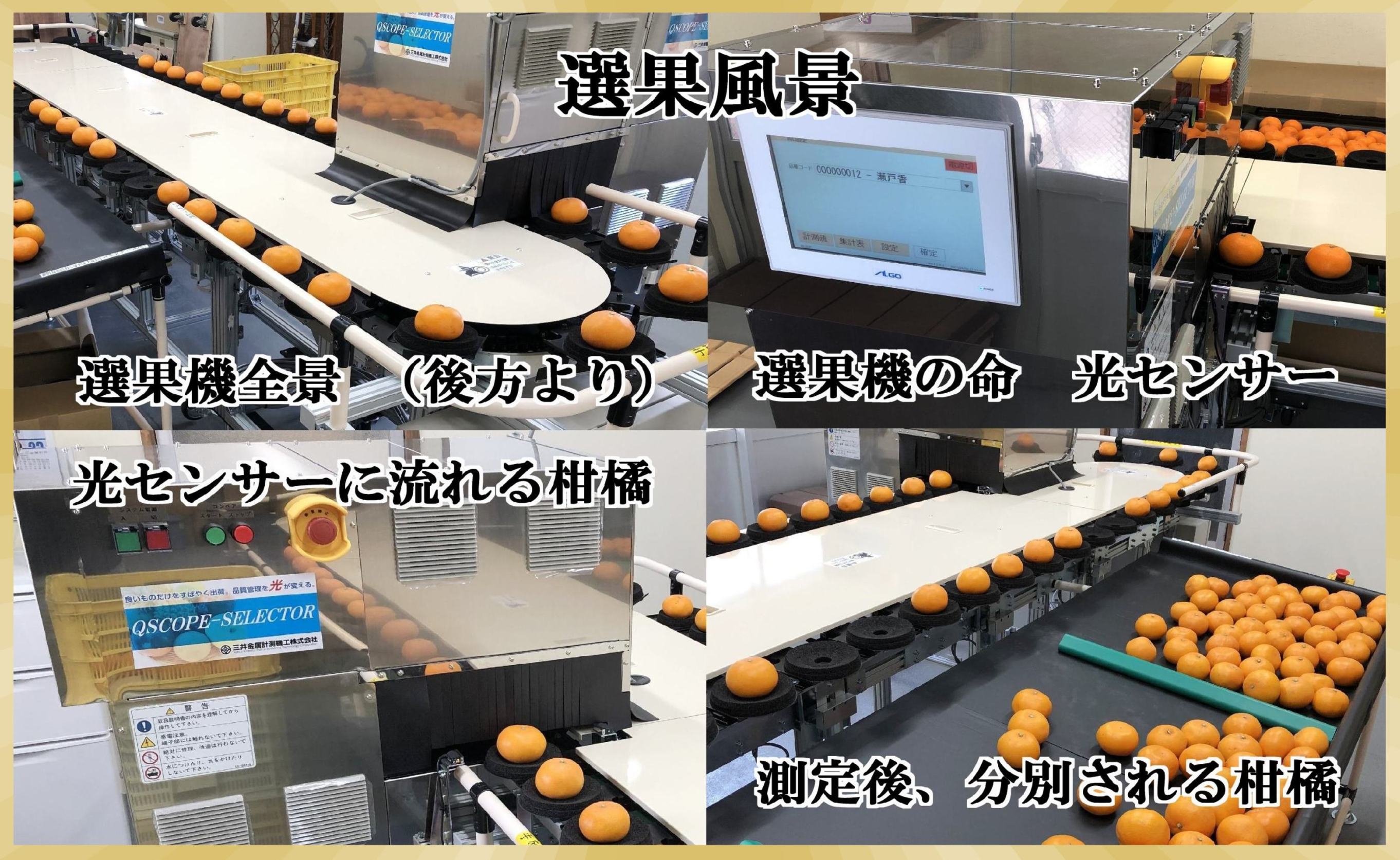極撰柑橘【雅プレミアム】糖度保証・光センサー合格品「 せとか 」約2キロ【D39-62】【配送不可地域：離島】【1614238】 YWTF037