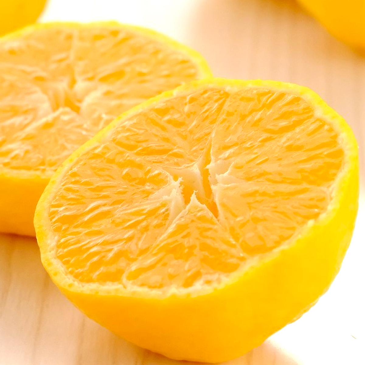 ãå
è¡åä»ãåªå°æ¥ 4kg æåªç å
«å¹¡æµåž 西å®åå°åº åžå°ãªå¹»ã®ææ© é»è²ãã¿ãããE25-345ãã1715608ã YWTAP286