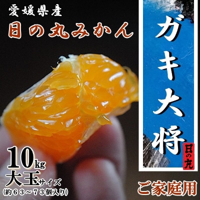 果汁しっかり自然の恵み!「ガキ大将」10kg(大玉サイズ)日の丸みかん/ご家庭用【D79-13】【1452036】