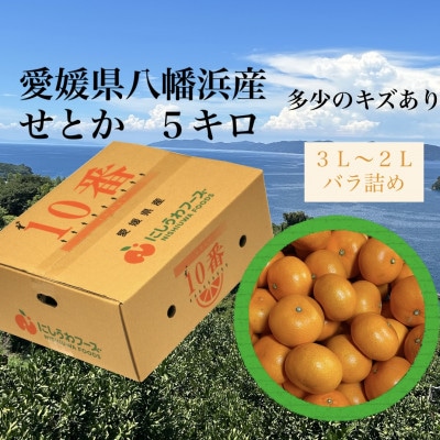 愛媛県八幡浜産「せとか」5kg　サイズ3L〜2L【F79-30】【1698686】