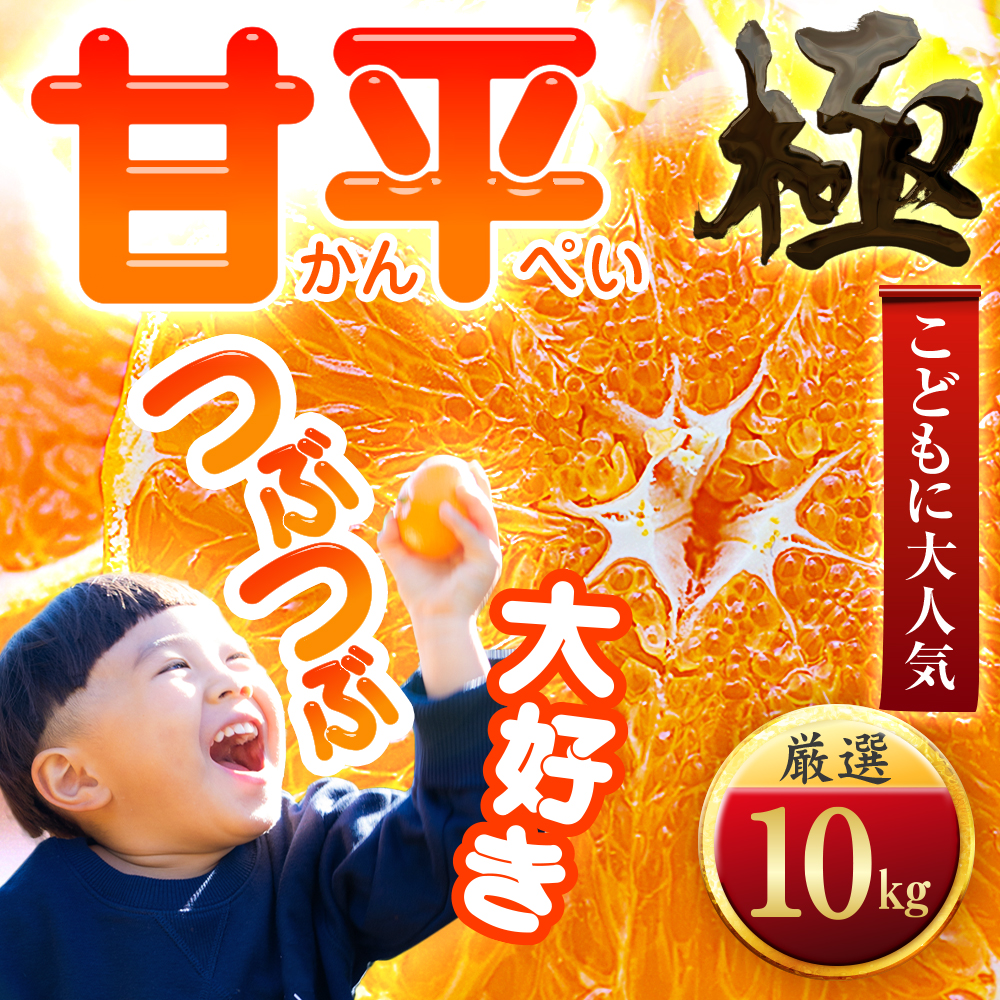 【甘みぎっっしり!】シャキシャキ甘い♪♪【甘平】10kg【H49-65】【1509768】 YWTZ057