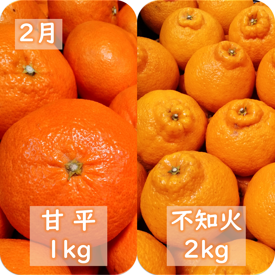 縲千匱騾∵怦蝗コ螳壼ョ壽悄萓ソ縲第帛調譫懈ィケ蝨偵悟ャ縺ョ譟第ゥ伜ョ壽悄萓ソ縲(1譛医3譛)蜈ィ3蝗槭色71-20縲代4013391縲 YWTS016