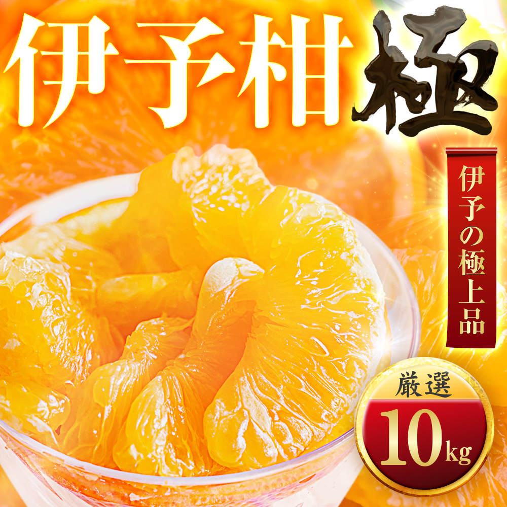 【太陽をたっぷり浴びた】伊予柑【極】10kg【F49-44】【1509741】 YWTZ036