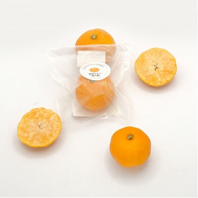 縲千悄遨エ逕」縲大キ蜃阪∩縺九s縲縺医イ繧√ョ繧「繧、繧ケ縺ソ縺九s縲20陲玖ゥー繧√織82-2縲代宣埼∽ク榊庄蝨ー蝓滂シ夐屬蟲カ縲代1596742縲