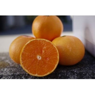 せとか(果実)おいしいものをチョイス(サイズおまかせ)3キロ【D19-3】【配送不可地域：離島】【1491412】