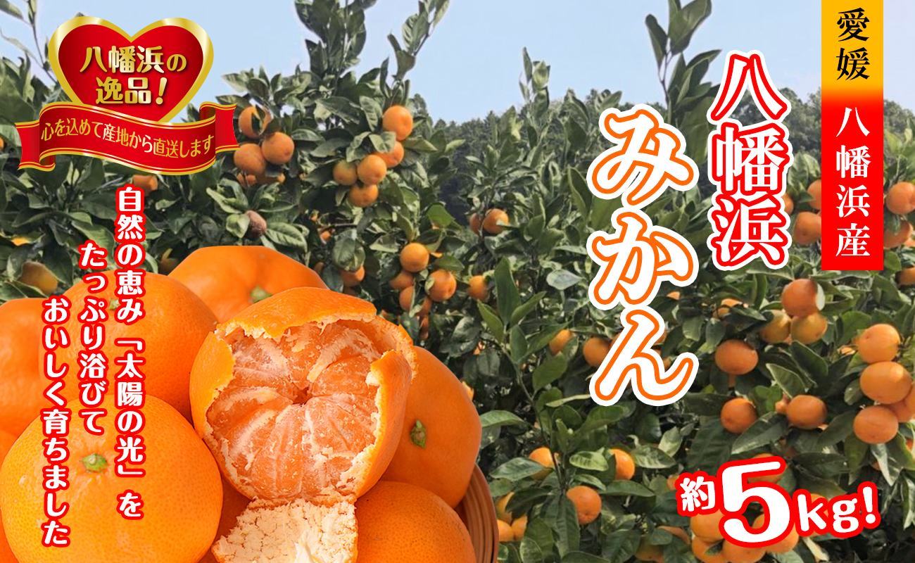 倪éœã®å
ã»ç³å£ã®åå°å
ã»æµ·é¢ã®åå°å
ãæµŽã³ãŠè²ã£ããå
«å¹¡æµã¿ãããçŽ5ãããC39-79ããé
éäžå¯å°åïŒé¢å³¶ãã1636310ã YWTF054