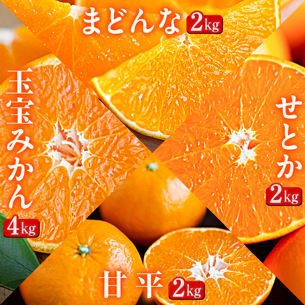 【発送月固定定期便】「蜜時(みつどき)便り」愛媛限定のまどんなや甘平も届きます【H64-92】全4回【4069712】 YWTY081