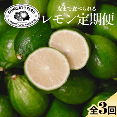 【発送月固定定期便】皮ごと食べられる【グリーンレモン】防腐剤・ワックス不使用【E70-172】全3回【4082669】