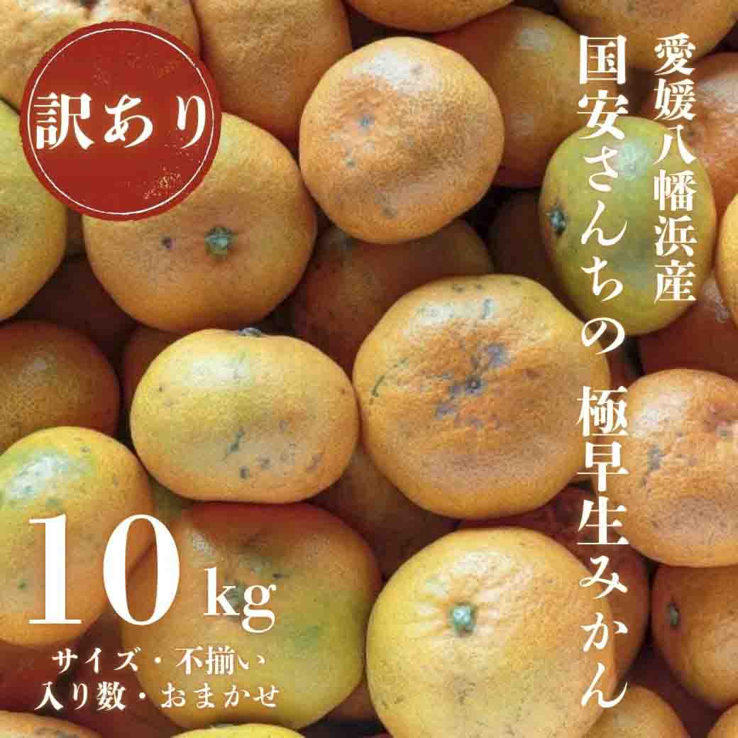 【創業85年 親子4代 愛媛みかん 一筋】愛媛八幡浜産 訳あり極早生みかん 10kg【D20-47】【1594916】 YWTI042