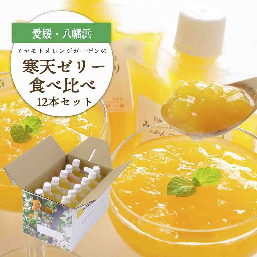 人気品種食べ比べ!みかん寒天ゼリーオールスター12本セット ミヤモトオレンジガーデン【D25-20】【1503231】 YWTAP013