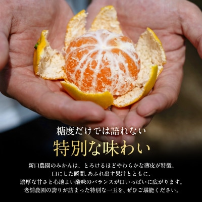 老舗農家が見極めたプレミアム【小玉】愛媛みかん2kg【愛媛県川上産】【A70-151】【1706057】