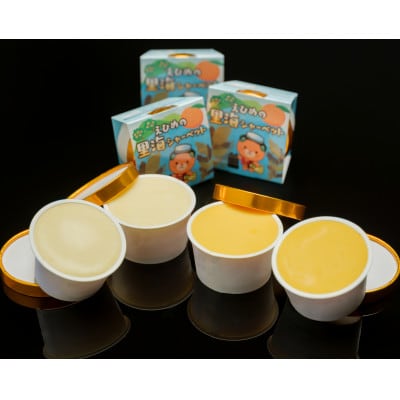 里海シャーベット【C92-1】【配送不可地域：離島】【1694736】