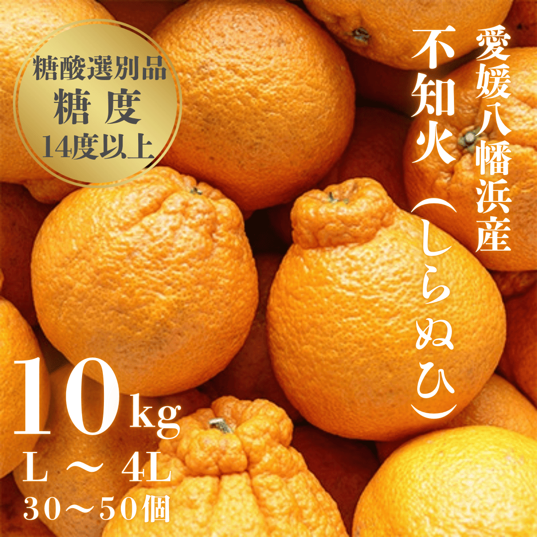 ＼糖度14.0以上酸1.4以下/糖酸選別品 愛媛産 不知火 (しらぬひ) 10kg【D20-8】【配送不可地域：離島】【1094587】 YWTI008