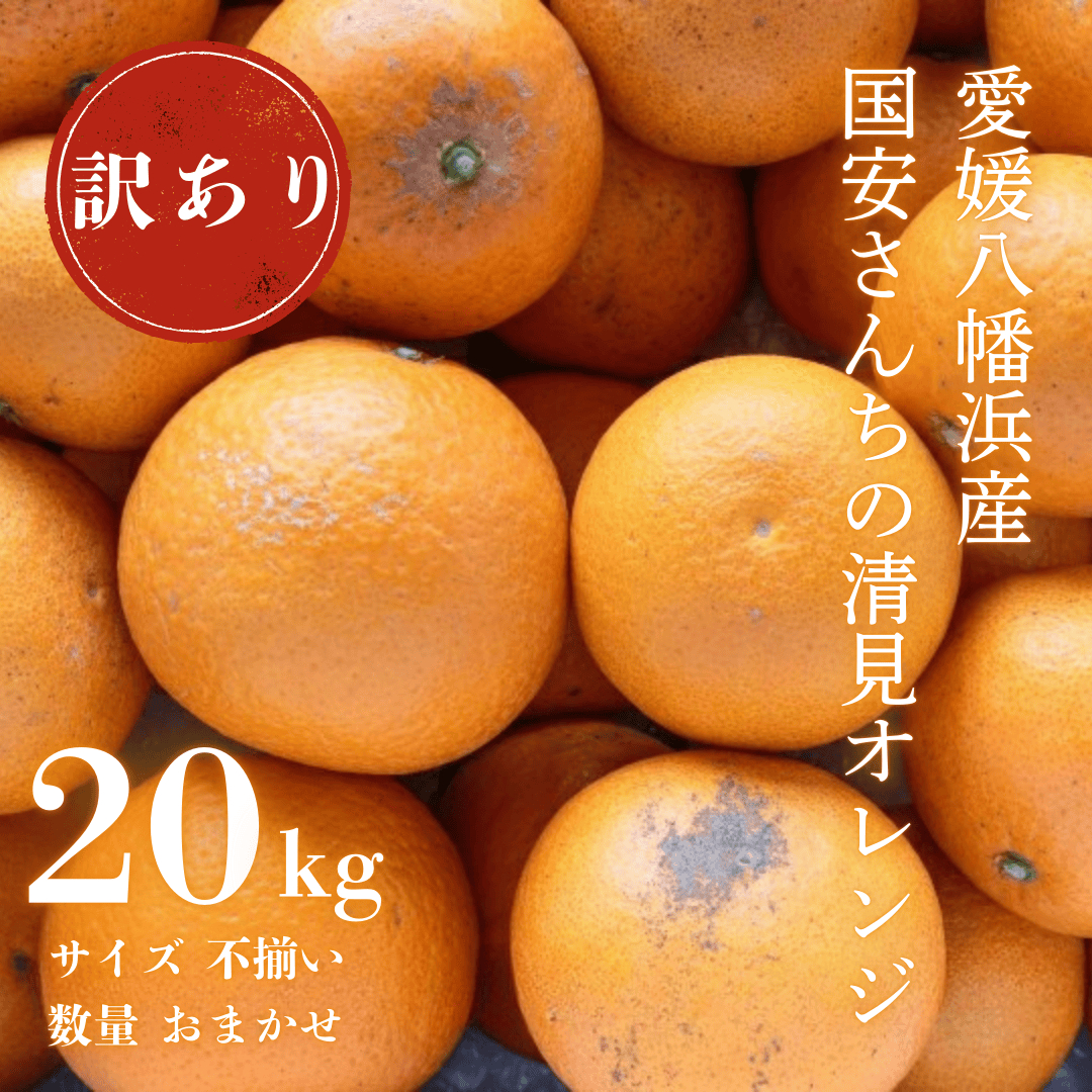 【まるで食べるジュース!越冬完熟品】愛媛産 訳あり 清見オレンジ 20kg【H20-35】【1594863】 YWTI030