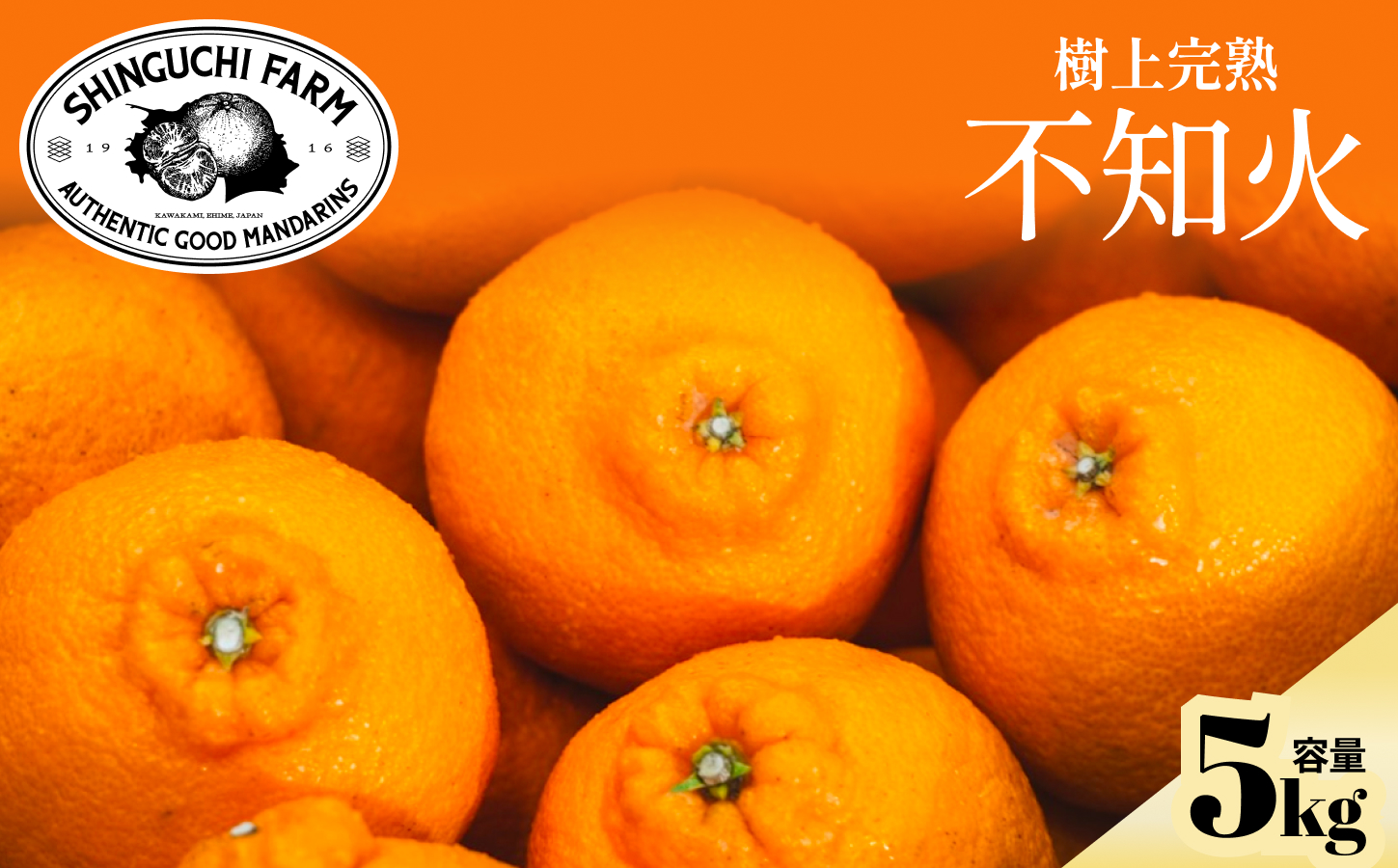 【先行受付 2027年発送】不知火(デコ)5kg甘みと程よい酸味のバランスが絶妙【D70-30】【1470653】 YWTK030