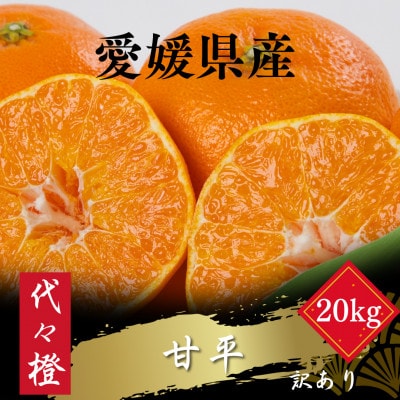 【濃密でシャキシャキ甘い】代々橙甘平【訳あり】20kg【H83-41】【1623758】