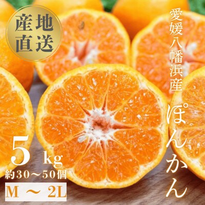 【南国を感じさせる独特の香り】愛媛ポンカン 5kg【D20-53】【1595883】
