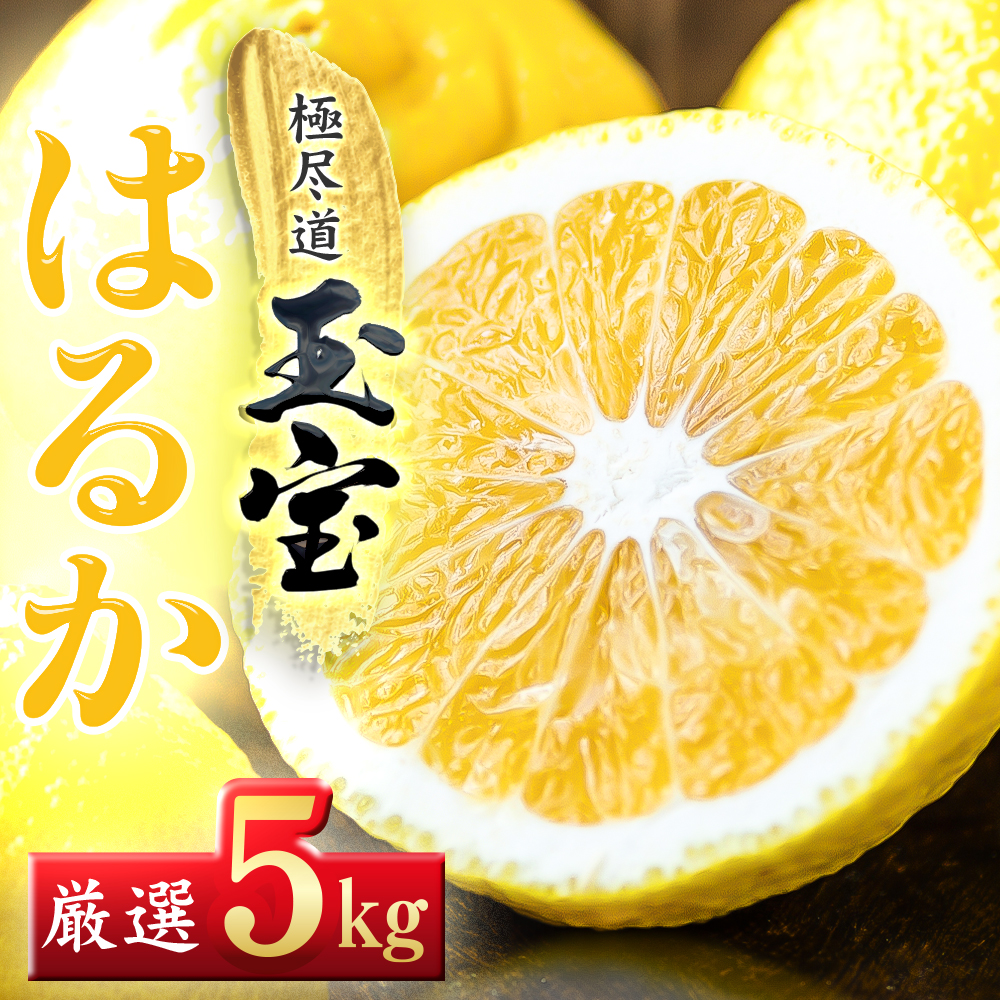 【愛媛名産】玉宝はるか　5kg【C64-56】【1511372】 YWTY045