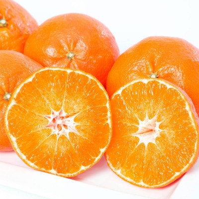 逕伜ケウ 4kg 諢帛ェ帷恁 蜈ォ蟷。豬懷ク 隘ソ螳蜥悟慍蛹コ 謇∝ケウ縺ァ豼縺蜻ウ縲職25-331縲代1714520縲