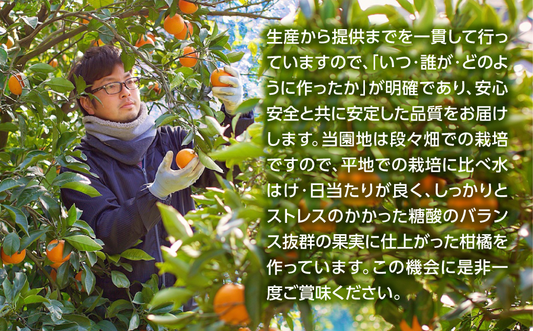 縺倥e繧峨☆霎イ謌ソ縺ョ貂隕九が繝ャ繝ウ繧ク繧ク繝・繝シ繧ケ3譛ャ繧サ繝繝医燭32-11縲代1296467縲 YWTH010