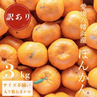 【南国を感じさせる独特の香り】訳あり 愛媛ポンカン 3kg【C20-91】【1625439】